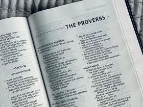 İngilizcede En Çok Kullanılan Deyimler